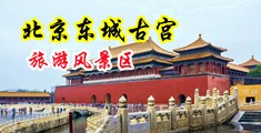 日日屌天天搞中国北京-东城古宫旅游风景区